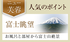ニュー芙蓉　人気のポイント　富士眺望