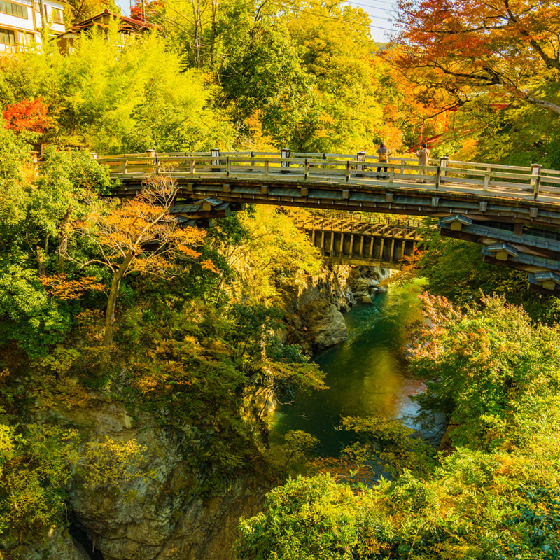 猿橋の秋風景